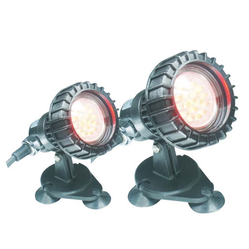 Hal a Föld alatti tó felett, merülőlámpa